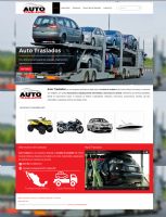 Servicio de diseno web paquete basico